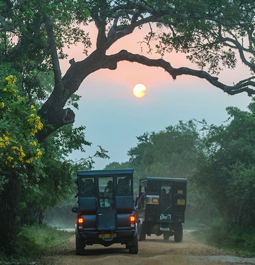 Family-Friendly Adventures In The Wild