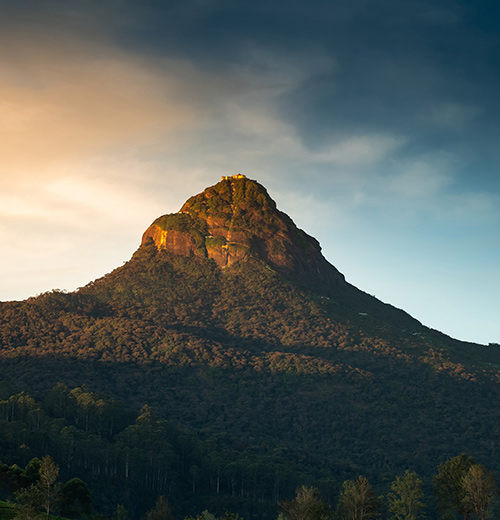 Conquer Sri Lanka’s Mountains By Yourself!