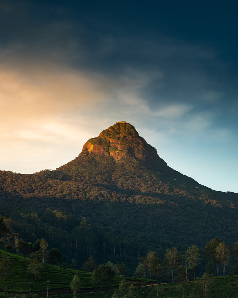 Conquer Sri Lanka’s Mountains by Yourself! Love Sri Lanka