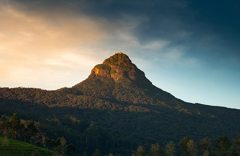 Conquer Sri Lanka’s Mountains By Yourself!