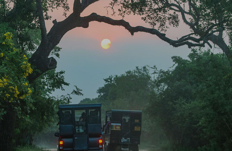 Family Friendly Adventures In The Wild