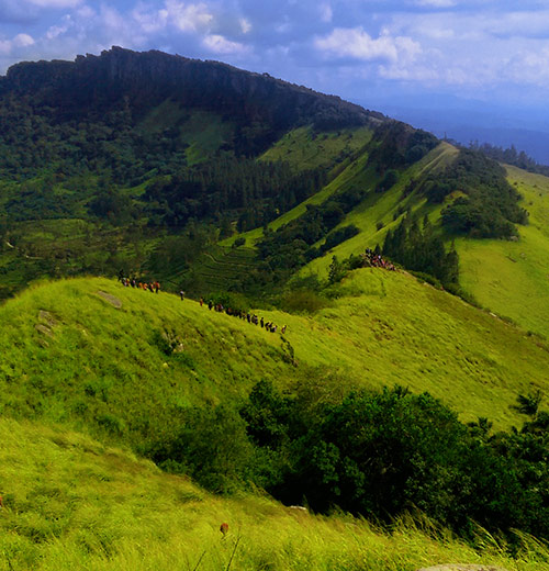 Hiking Trails That Are Ideal For Friends