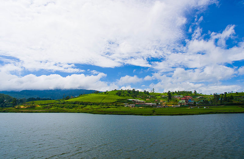 Gregory Lake