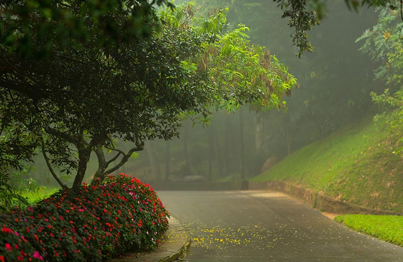 Hakgala Botanical Garden