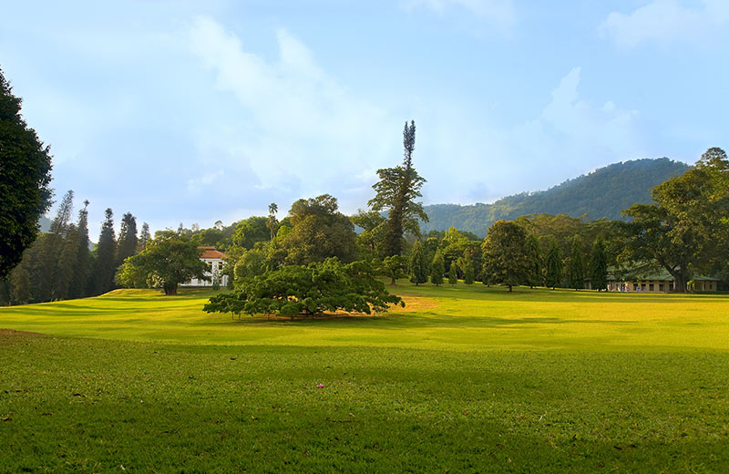 Royal Botanical Garden