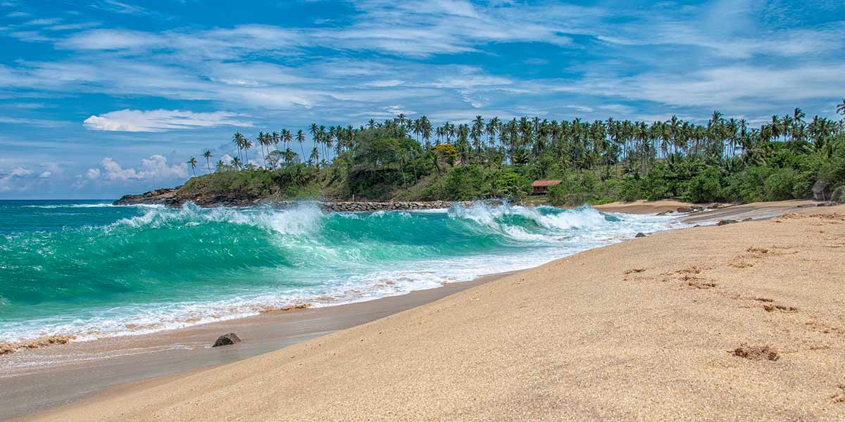 Bentota Things To Do Attractions Events Love Sri Lanka Bentota Things To Do Attractions Events Love Sri Lanka