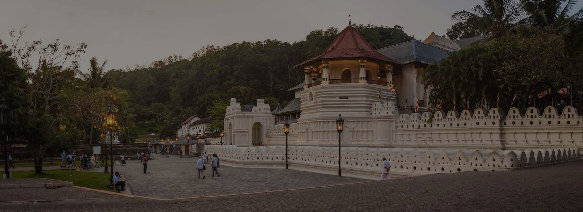 Discover Charming Kandy