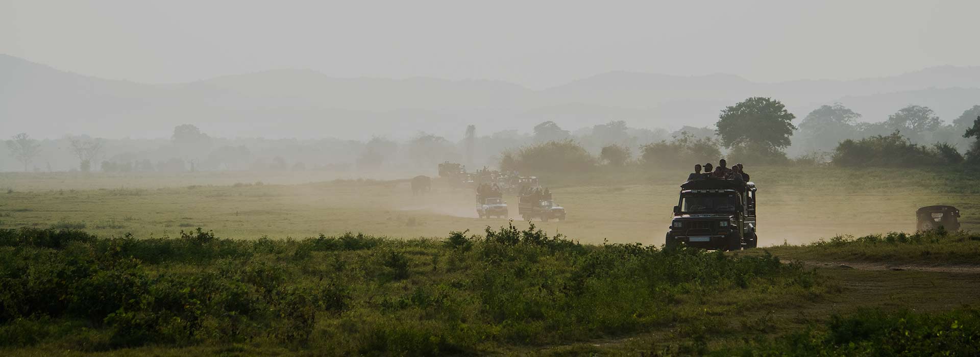 The Wild Side Of Sri Lanka