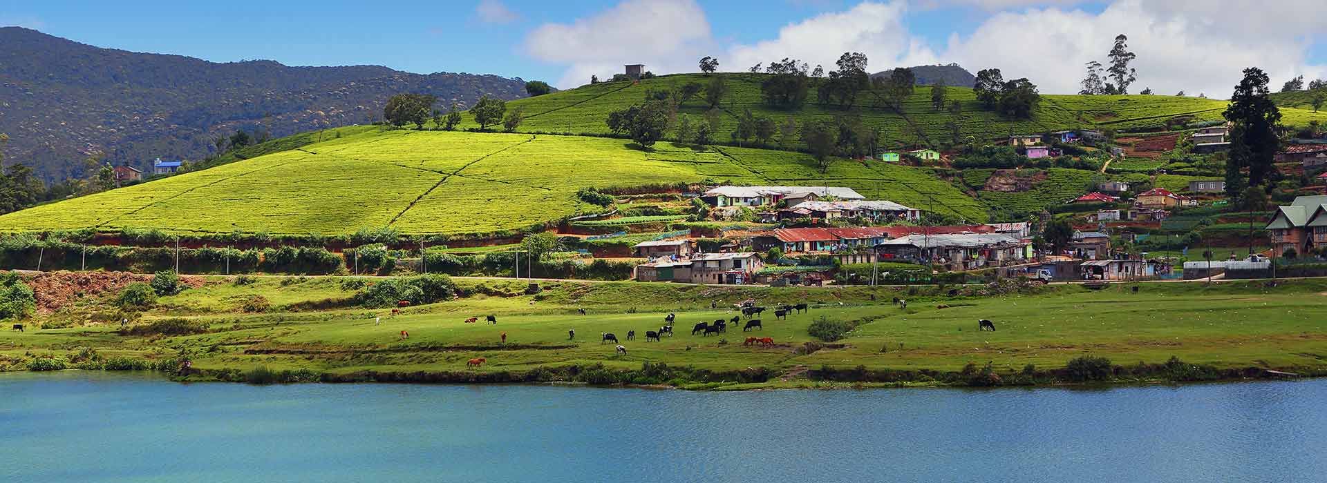 Discover Nuwara Eliya’s Attractions