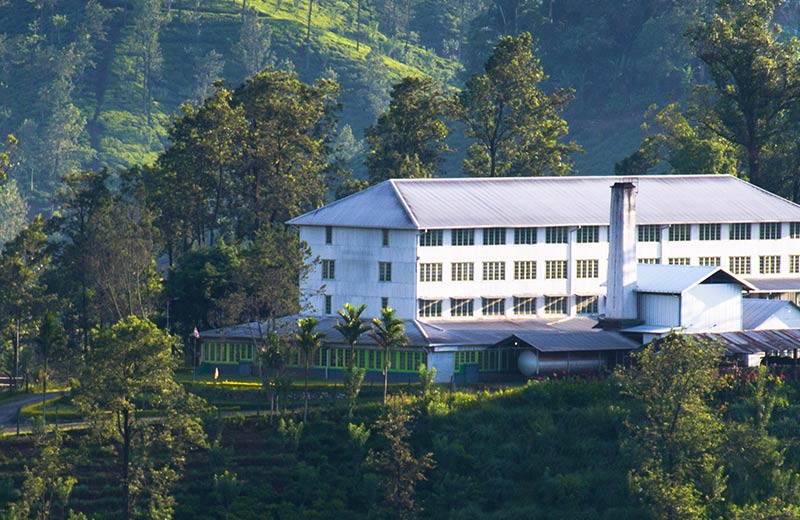 Ceylon Tea Museum