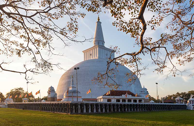 Explore the Ancient Kingdoms of Sri Lanka: A Journey Through Time