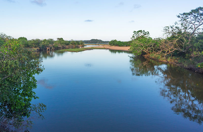 Kumana National Park</br>From Arugam Bay