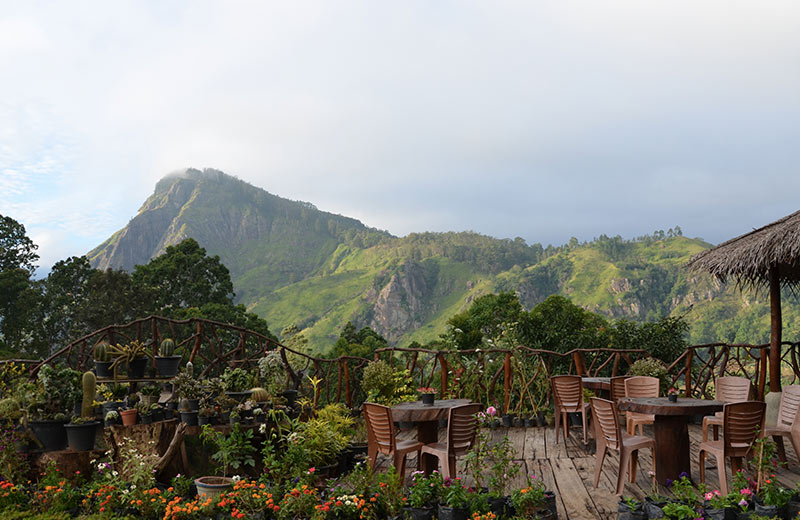 Romantic Bars And Restaurants In Ella