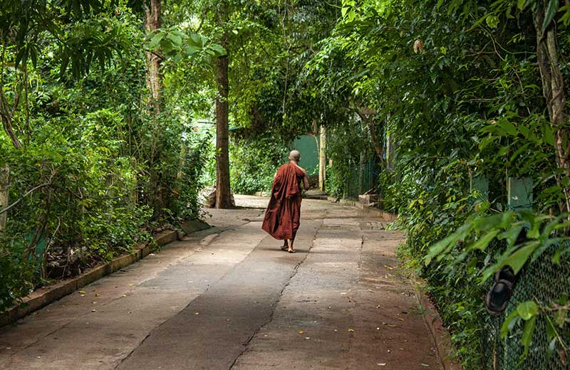 Ironwood Grove Forest Monastery