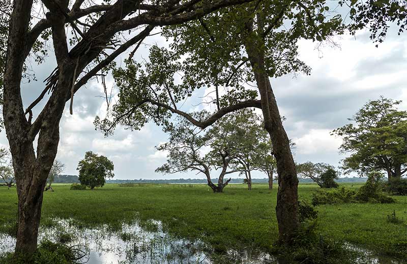 Lahugala Kitulana National Park