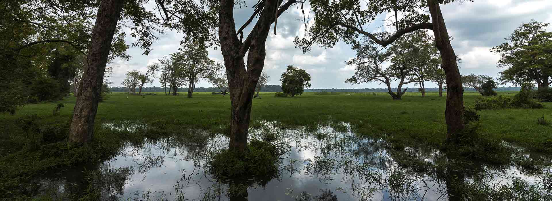 Love Sri Lanka