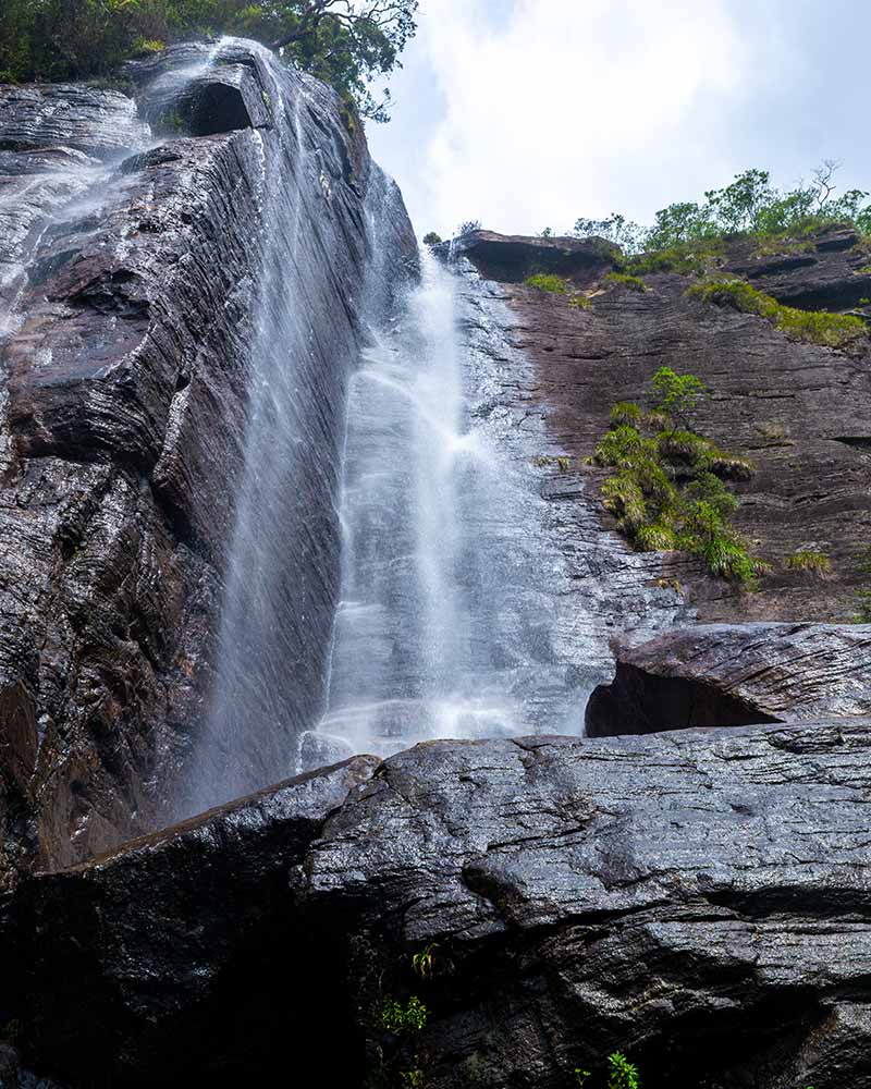 lovers leap lovers leap