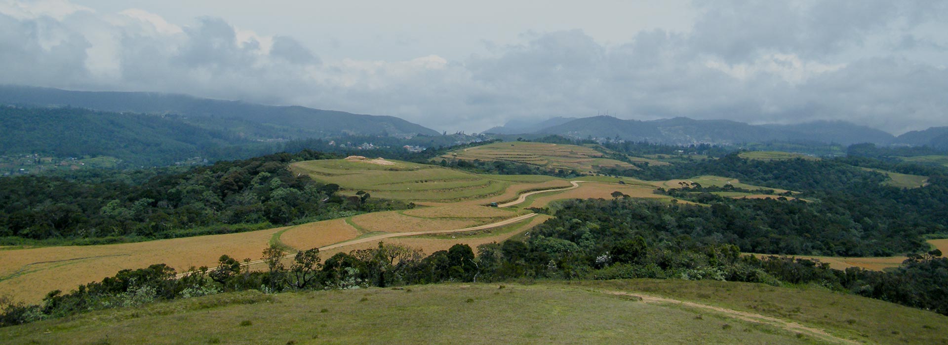 Love Sri Lanka