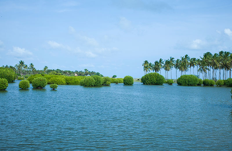 Kalpitiya Lagoon