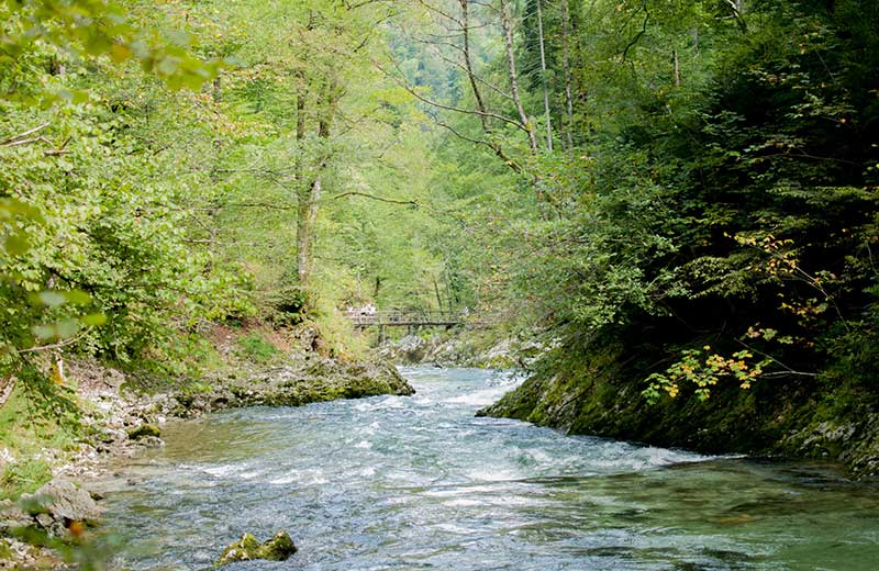 Makandawa Forest Reserve