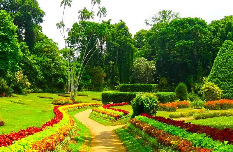 3 Gardens You Must Visit in Sri Lanka