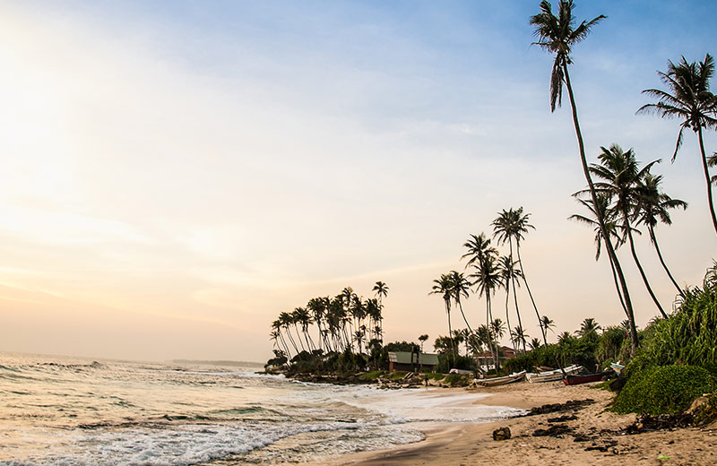 A Solo Guide to Beach Hopping in Sri Lanka