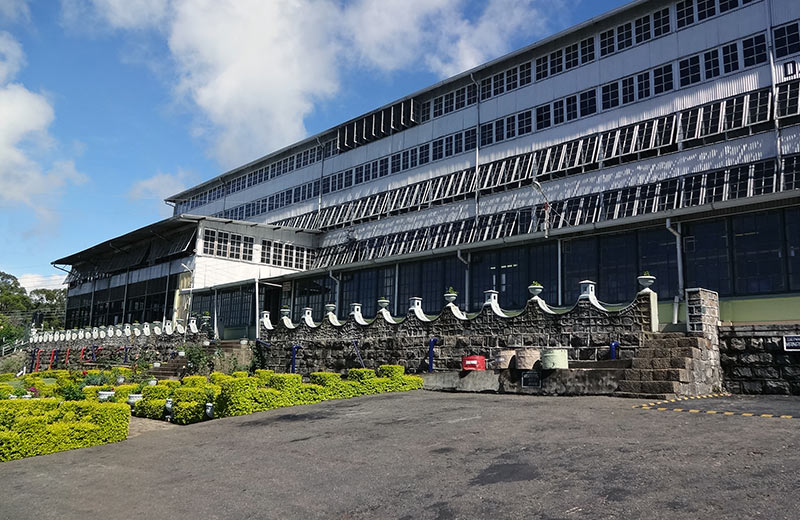 Dambatenne Tea Factory