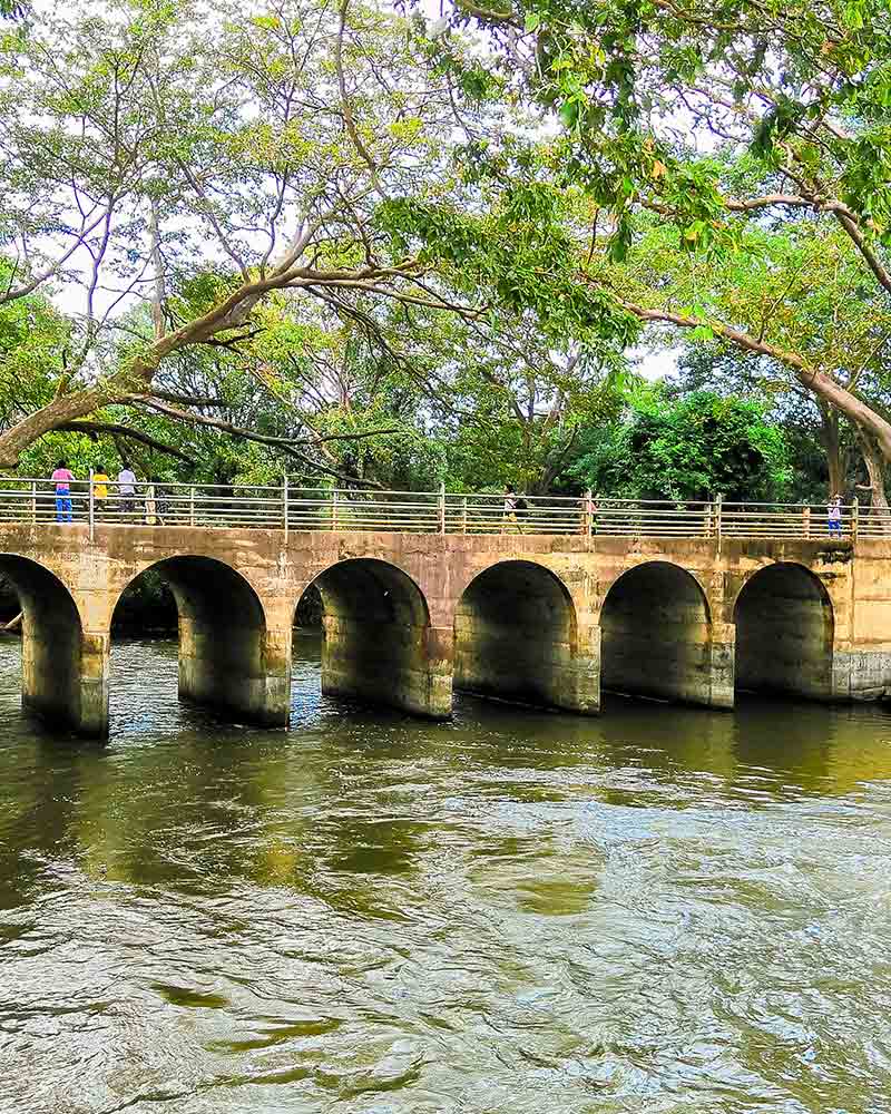 Giant’s Tank Attractions in Mannar Love Sri Lanka
