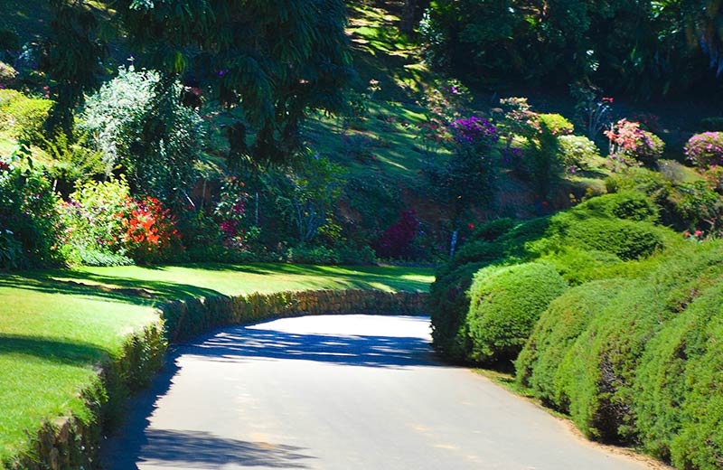 Hakgala Botanical Garden<br>Hatton</br>
