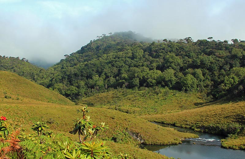 Horton Plains National Park<br/>Hatton