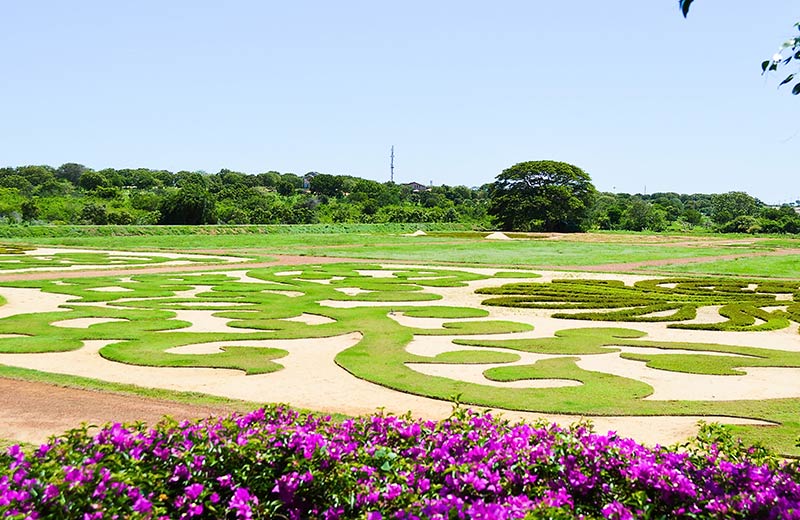 Dry Zone Botanic Gardens – Mirijjawila
