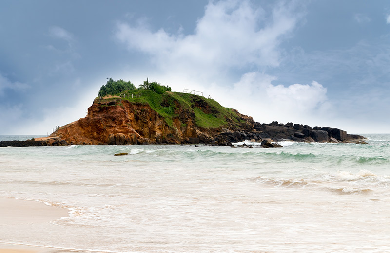 Parrot Rock