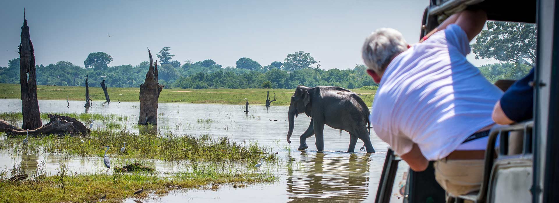 Love Sri Lanka