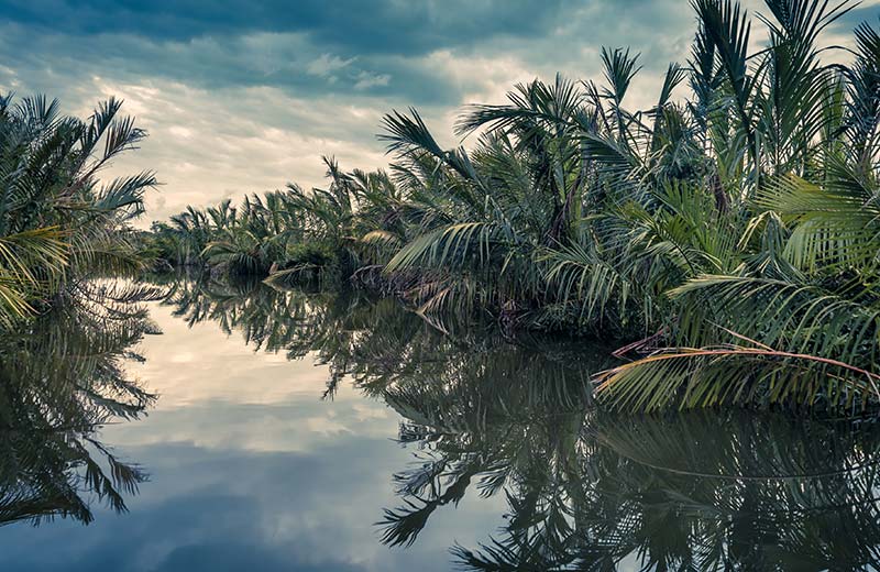 Things to do in Tangalle