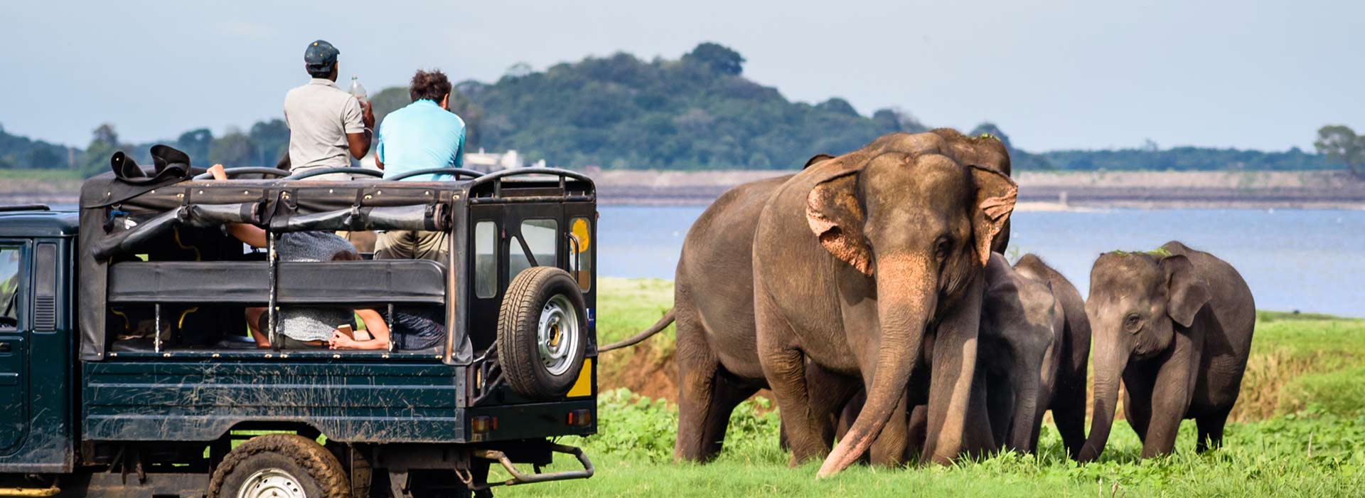 Sri Lanka’s Famous National Parks