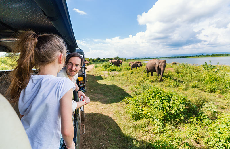 5 Experiences Your Family Will Love When Camping in Yala