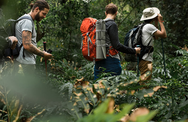 Is the Sinharaja Rainforest Safe for Children?