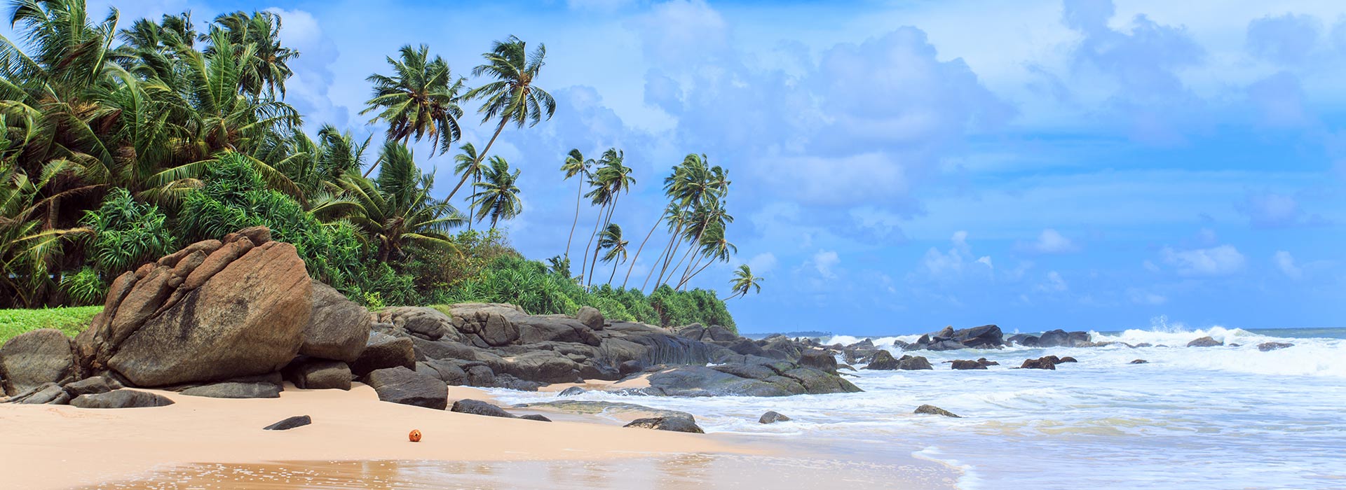 Plan Your Next Adventure in Sri Lanka