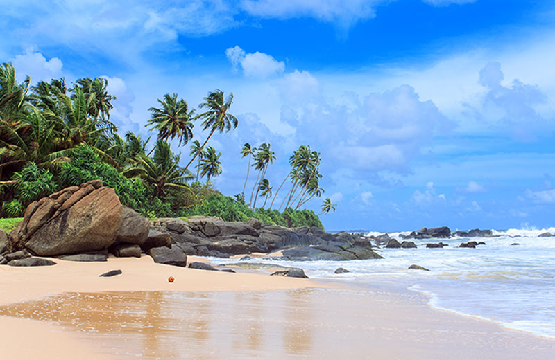 The Essential Beach Guide for Sri Lanka