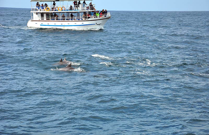 Sailing Tour of the Sri Lankan Southern Coast