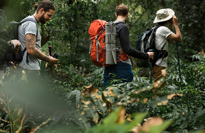 Discover the Forests of Sri Lanka