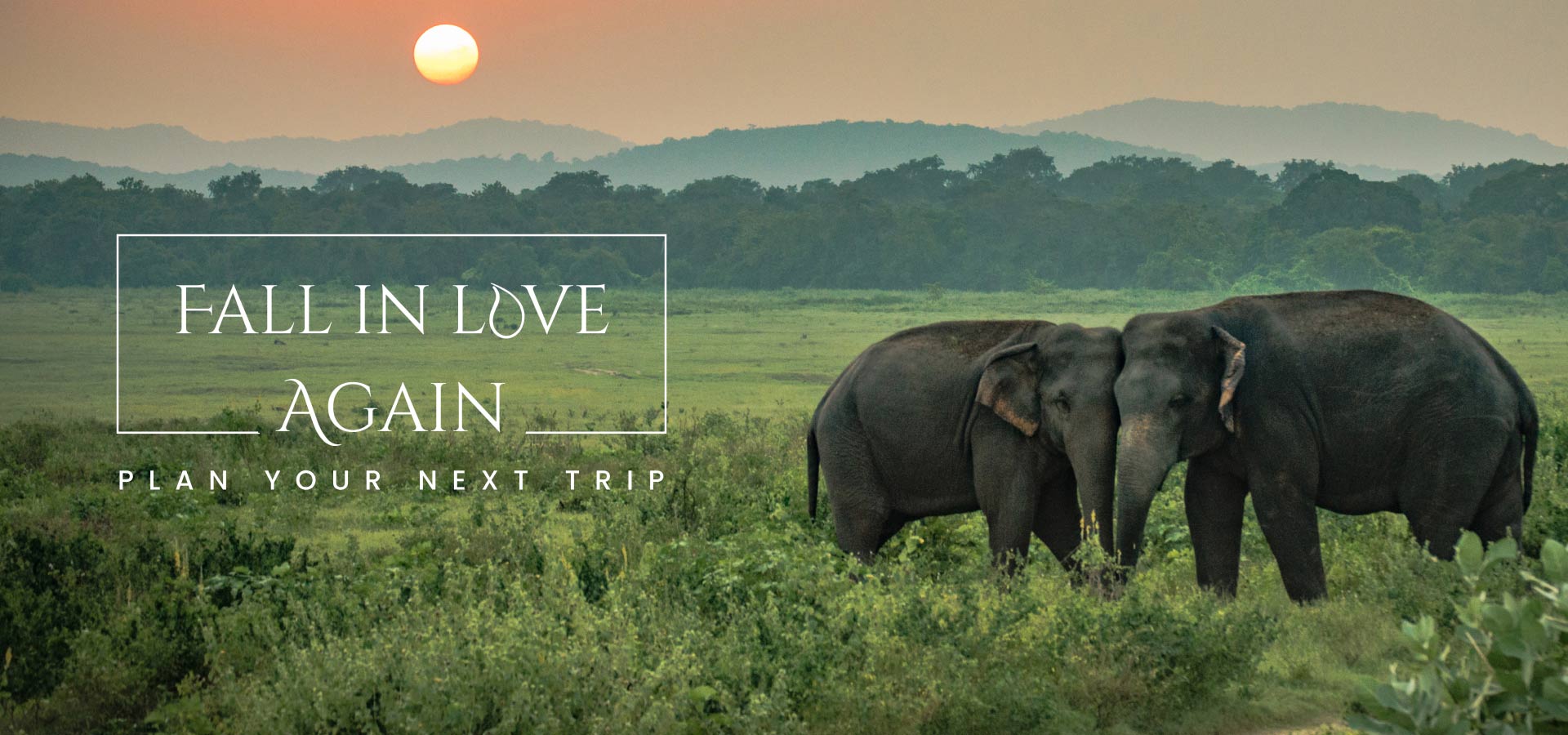 Love Sri Lanka